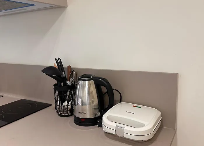 Matisse No29 - Center With Parking